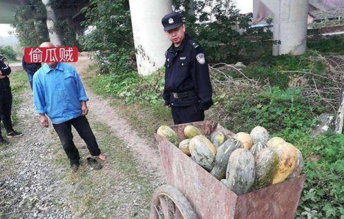 盐山网红吃瓜事件视频,一场网络狂欢背后的真相揭秘  第1张